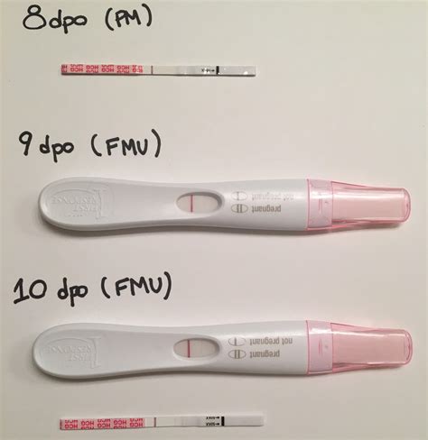 negative pregnancy test results 12 days